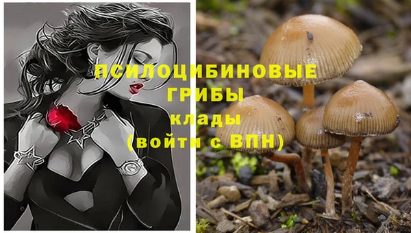 бутират Балабаново