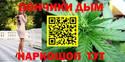 СК Бийск