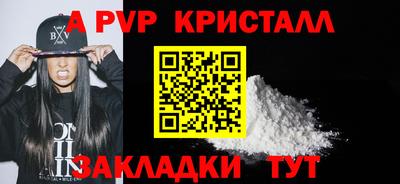 СК Бийск
