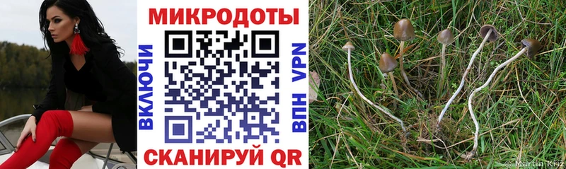 закладка  hydra зеркало  Псилоцибиновые грибы Magic Shrooms  Вязники 