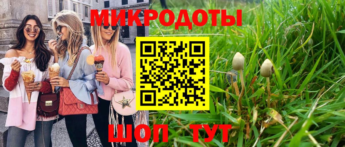 Псилоцибиновые грибы Magic Shrooms Вязники