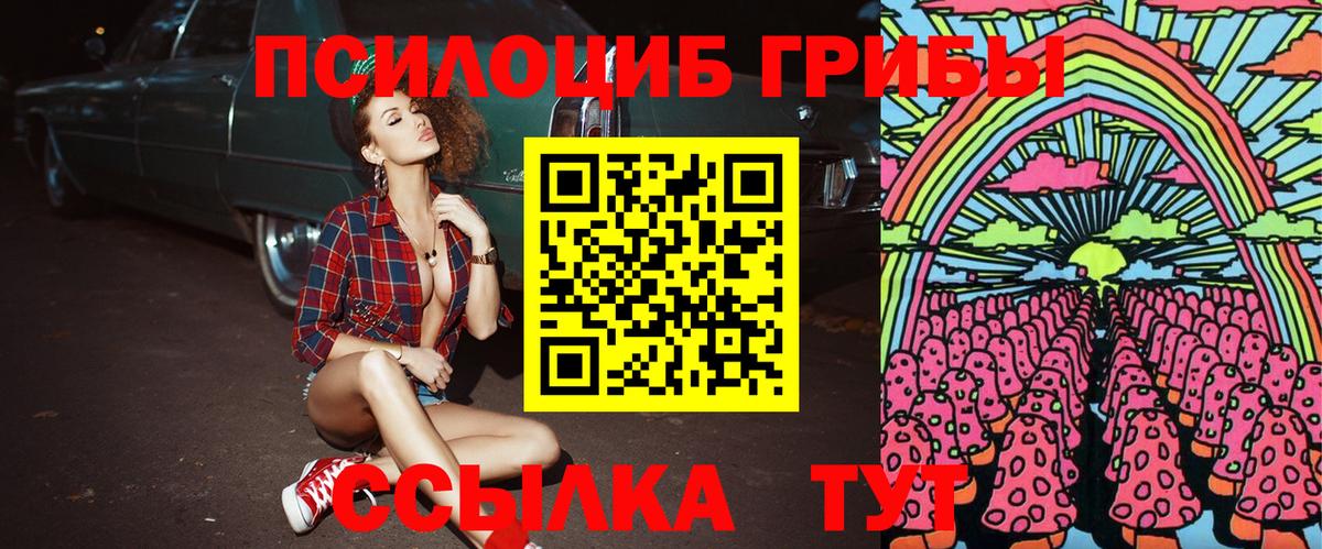 Псилоцибиновые грибы Psilocybe Вязники